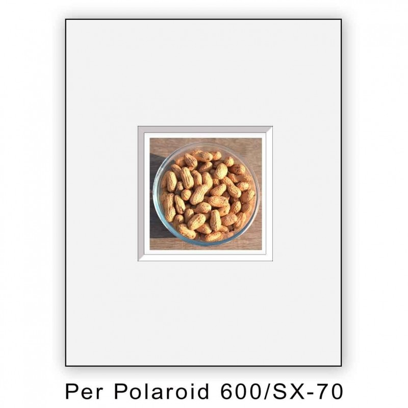 Passep. x Polaroid 600/SX70 - 8 pezzi