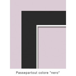 Causa la non perfetta fedeltà dei monitor, il colore e l'immagine sono solo indicativi