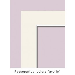 Causa la non perfetta fedeltà dei monitor, il colore e l'immagine sono solo indicativi