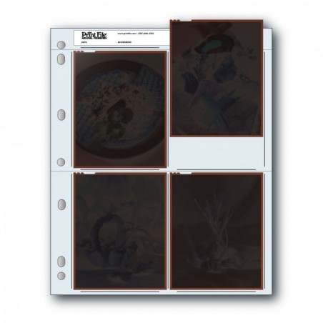 PrintFile - Fogli archiviazione per pellicole 4x5" - Confez. 100 fogli
