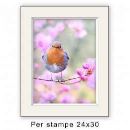 PASSEP. AVORIO PER FOTO...
