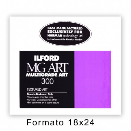 ILFORD MG ART 300 17,8x24/50
