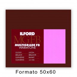 ILFORD MG FB WARMTONE 50,8x61/10 1K Lucida